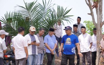 Bantu Petani Hadapi Musim Kemarau, Bupati Luwu Serahkan Pompa Air di Desa Babang