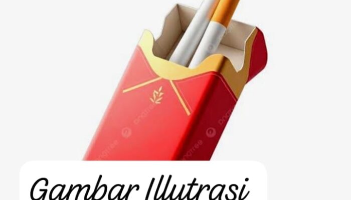 Diduga Kuat Peredaran Rokok Ilegal Di Bone,Ucu Bebas Beroperasi: Siapa Yang Melindungi?